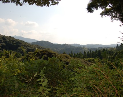 亀丸城から望む周辺の山々。